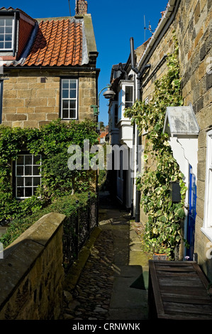 Uno stretto vicolo tra cottages in Robin Hood's Bay. Foto Stock