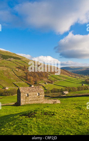 Yorkshire Dales National Park Swaledale Yorkshire Traditional Stone Barns in Upper Swaledale vicino a Keld Yorkshire Dales North Yorkshire Inghilterra Regno Unito Foto Stock