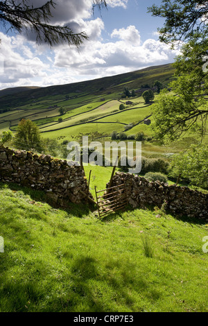 Il cancello aperto nella valle, kisdon Hill, Swaledale, North Yorkshire Dales, Inghilterra Foto Stock