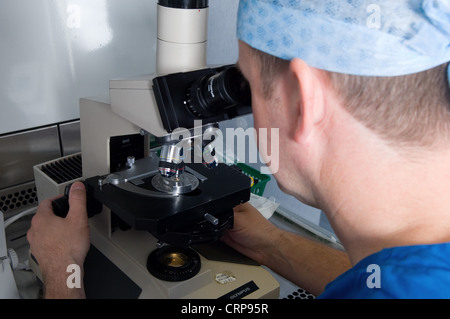 Un medico esamina un campione di sperma prima di "lavaggio" in una cultura per rimuovere qualsiasi residuo di fluidi corporei. Foto Stock