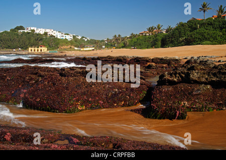 Thompson's Bay, Ballito, Kwazulu Natal, Sud Africa Foto Stock