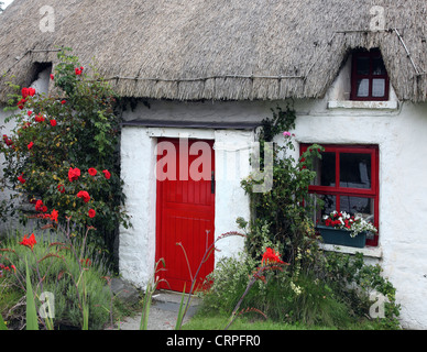 Un cottage con tetto di paglia nel villaggio di pescatori di Clogherhead. Foto Stock