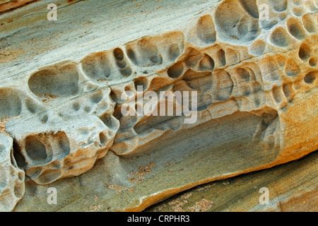 Weathered arenaria a Thompson's Bay, Ballito, Kwazulu Natal, Sud Africa Foto Stock