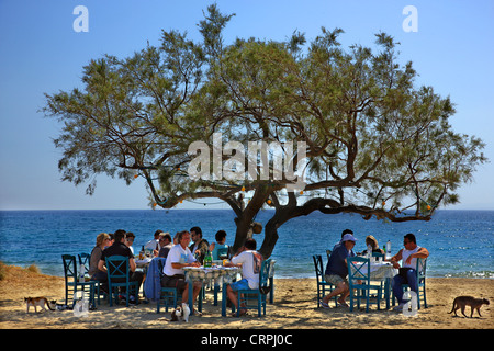 Uno splendido scenario in 'Paradiso' Tavern, Maragas beach (tra Agia Anna e le spiagge di Plaka), isola di Naxos, Cicladi Grecia Foto Stock