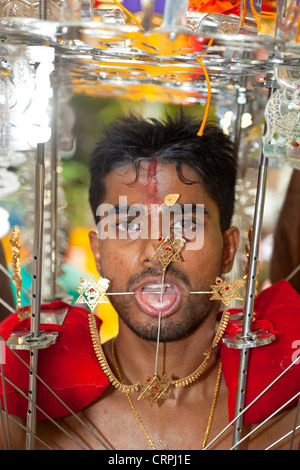 Immagine di un devoto indù che trasportano santuario portatile durante il Thaipusam a Singapore, Sud Est asiatico Foto Stock