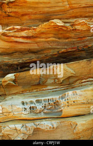 Weathered arenaria a Thompson's Bay, Ballito, Kwazulu Natal, Sud Africa Foto Stock