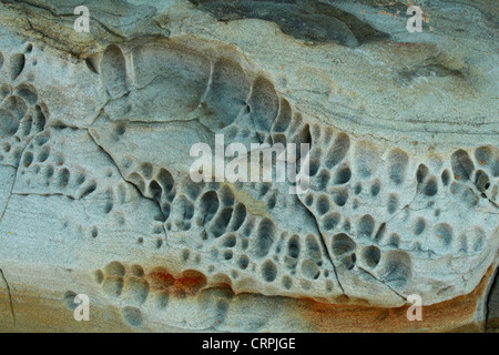 Weathered arenaria a Thompson's Bay, Ballito, Kwazulu Natal, Sud Africa Foto Stock