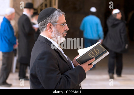Uomo ebraico legge la Torah presso la vecchia città del Muro occidentale di Gerusalemme, Israele Foto Stock