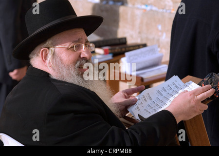 Ebreo ortodosso legge la Torah presso la vecchia città del Muro occidentale di Gerusalemme, Israele Foto Stock