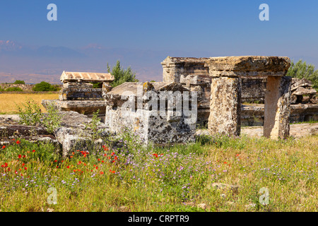 Hierapolis - Turchia, le rovine della città antica, tomba nella necropoli, UNESCO Foto Stock