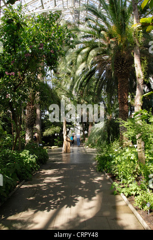 Interno della casa Temperate Kew Gardens LONDRA Foto Stock