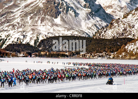 Cross-Country Skiier durante l Engadin Ski Marathon, Engadina alta valle, Svizzera Foto Stock