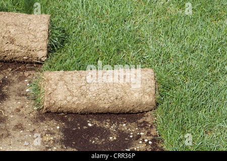 Tappeto d'erba rotoli staccata dal suolo Foto Stock