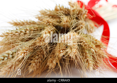 Bouquet di spighe mature di grano con nastro rosso Foto Stock