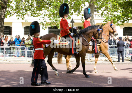 1° battaglione funzionario irlandese Guardie a Cavallo nel centro commerciale per Trooping il colore il Mall London REGNO UNITO. Foto Stock