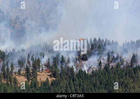 Un U.S. Foresta Servizio elicottero gocce di acqua su un incendio in un bosco vicino a Bonner, Montana, USA Foto Stock