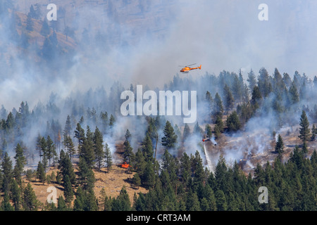 Un U.S. Foresta Servizio elicottero gocce di acqua su un incendio in un bosco vicino a Bonner, Montana, USA Foto Stock
