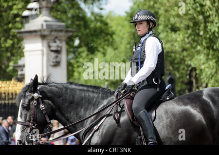 Montare la polizia donna supervisione folle turistiche 169-110307698x una poliziotta montato dalla London Metropolitan Police Service supervisiona la folla di turisti alla cerimonia del Cambio della guardia di fronte a Buckingham Palace dalla cima di un cavallo nero. Foto Stock