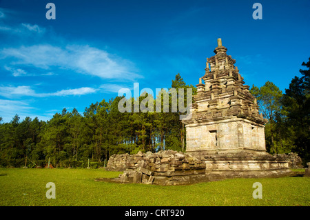 Uno dei nove tempio di Gedong Songo tempio complesso Foto Stock