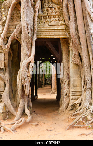 Ta Som, un piccolo tempio di Angkor, Cambogia Foto Stock