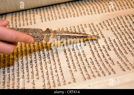 La Torah e la lettura con un puntatore Foto Stock