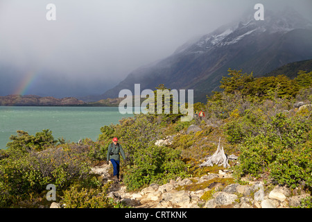 Escursionista sulle rive del Lago Nordenskjold nel Parco Nazionale Torres del Paine Foto Stock