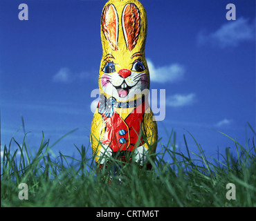 Coniglietto di pasqua sull'erba verde Foto Stock