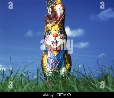 Morso coniglietto di Pasqua sul prato verde Foto Stock