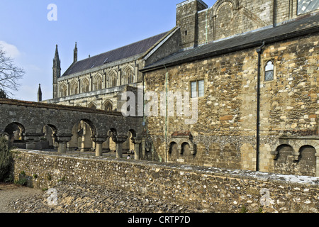 Regno Unito Winchester la Cattedrale vista laterale Foto Stock