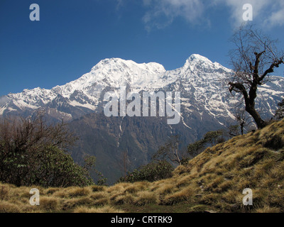 Annapurna Sud e Hiun Chuli Foto Stock