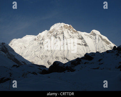 Annapurna 1 nelle prime ore del mattino Foto Stock