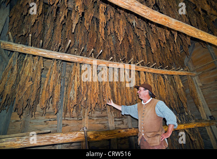 Un interprete in costume discute di foglie di tabacco essiccamento a 1780s farm ri-creato a Yorktown Victory Center, nella Storica Yorktown, Virginia, Stati Uniti d'America. Foto Stock