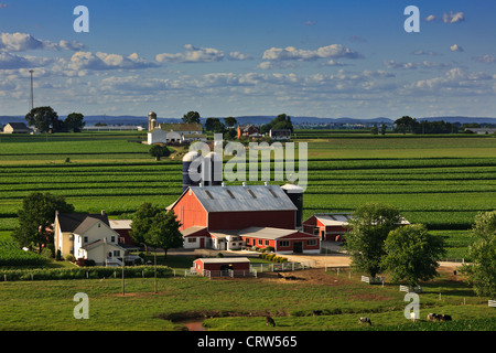 Ben tenuto fattorie Amish, Lancaster County, Pennsylvania Foto Stock