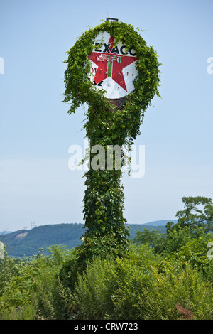 Ricoperto da viti Texaco segno vicino a Berwick, Pennsylvania, contea Columbia Foto Stock