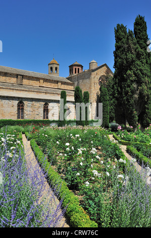 Giardino delle Rose di Abbaye de Sainte-Marie Abbazia di Fontfroide, ex monastero cistercense in Linguadoca, Pirenei, Foto Stock