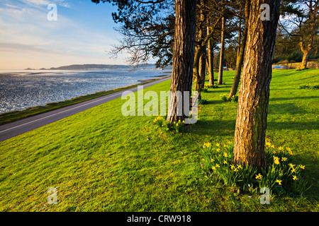 Mumbles Faro e borbotta qualcosa da Nero pillola, Swansea Galles Foto Stock