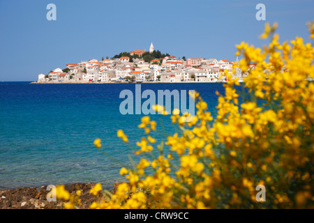 Primosten città in Croazia Foto Stock