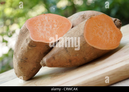 La patata dolce, Patate dolci Igname, patate, Fleshed arancione, arancione Fleshed Ignami Foto Stock