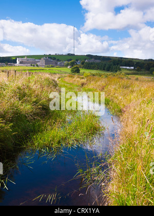 Devonport Leat vicino a Princetown nel Parco Nazionale di Dartmoor, Devon, Inghilterra. In lontananza si può vedere la prigione di Dartmoor. Foto Stock