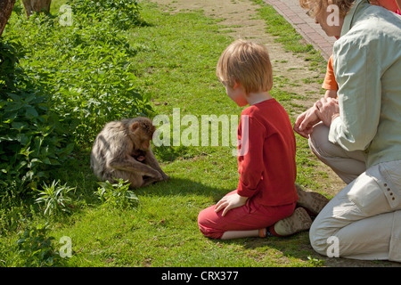 Ragazzo e sua madre la visione di Barbary macaque (Macaca sylvanus), il parco Serengeti di Hodenhagen, Bassa Sassonia, Germania Foto Stock