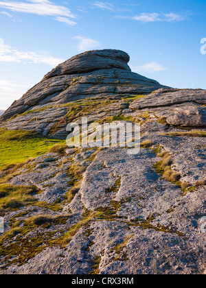 Haytor rocce nel Parco Nazionale di Dartmoor, Devon, Inghilterra. Foto Stock