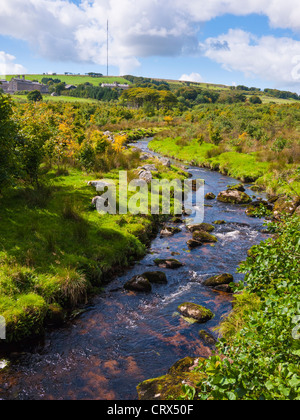 Blackbrook fiume vicino a Princetown nel Parco Nazionale di Dartmoor, Devon, Inghilterra. La distanza è prigione di Dartmoor e Nord Hessary Tor. Foto Stock