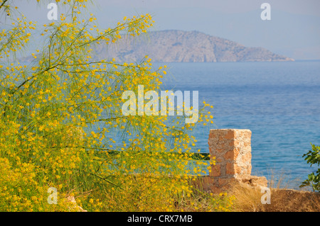 Vista dalla città di Milos sull'isola greca di Agistri, che si affaccia a nord-ovest sul Golfo Saronico o sul Golfo di Egina. Grecia Foto Stock