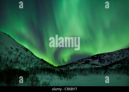 Aurora Boreale la Northern Lights riempire il cielo a Kvaloya nel Circolo Polare Artico vicino a Tromso, Norvegia settentrionale Foto Stock