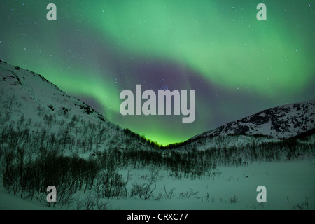 Aurora Boreale la Northern Lights riempire il cielo a Kvaloya nel Circolo Polare Artico vicino a Tromso, Norvegia settentrionale Foto Stock