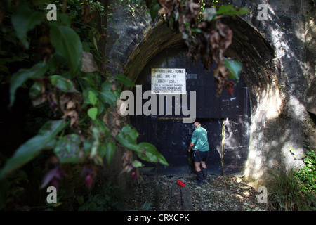 Bob Stewart all'interno della rotaia Spooners Tunnel su Tasmania di grande gusto Trail, Nelson, Nuova Zelanda. Foto Stock