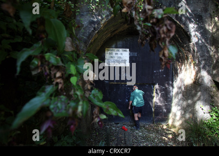 Bob Stewart all'interno della rotaia Spooners Tunnel su Tasmania di grande gusto Trail, Nelson, Nuova Zelanda. Foto Stock