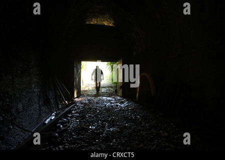 Bob Stewart all'interno della rotaia Spooners Tunnel su Tasmania di grande gusto Trail, Nelson, Nuova Zelanda. Foto Stock