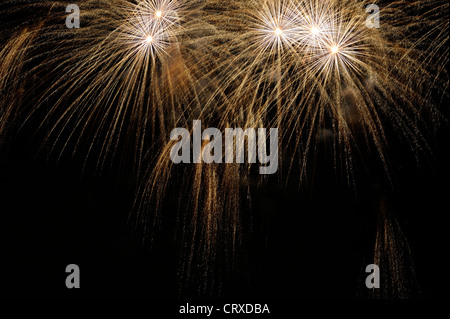 Fuochi d'artificio di esplodere in un cielo notturno Foto Stock