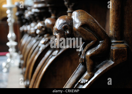 Liegi, Belgio. Eglise Saint Jacques. Grottesco stalli scolpiti (14thC) Foto Stock